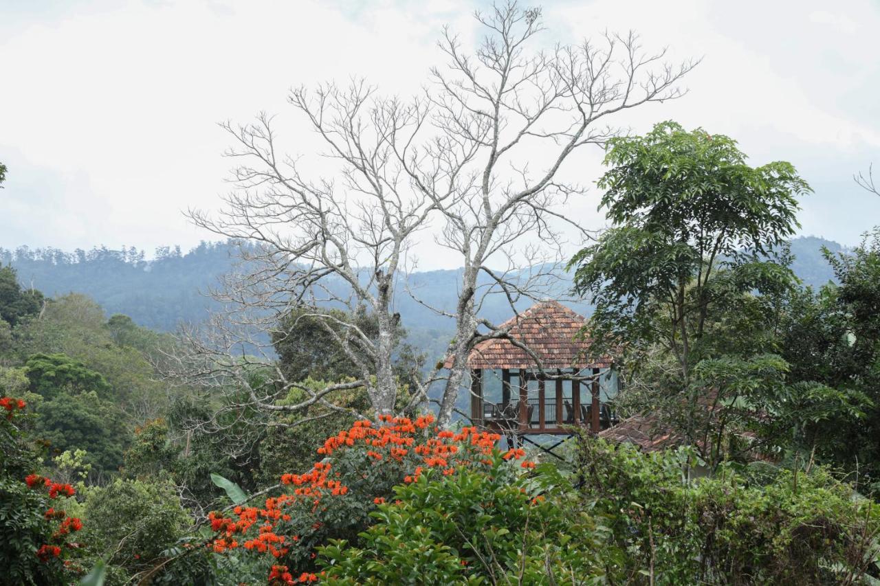 Spice Forest Plantation Homestay, Thekkady Vandiperiyār Eksteriør bilde
