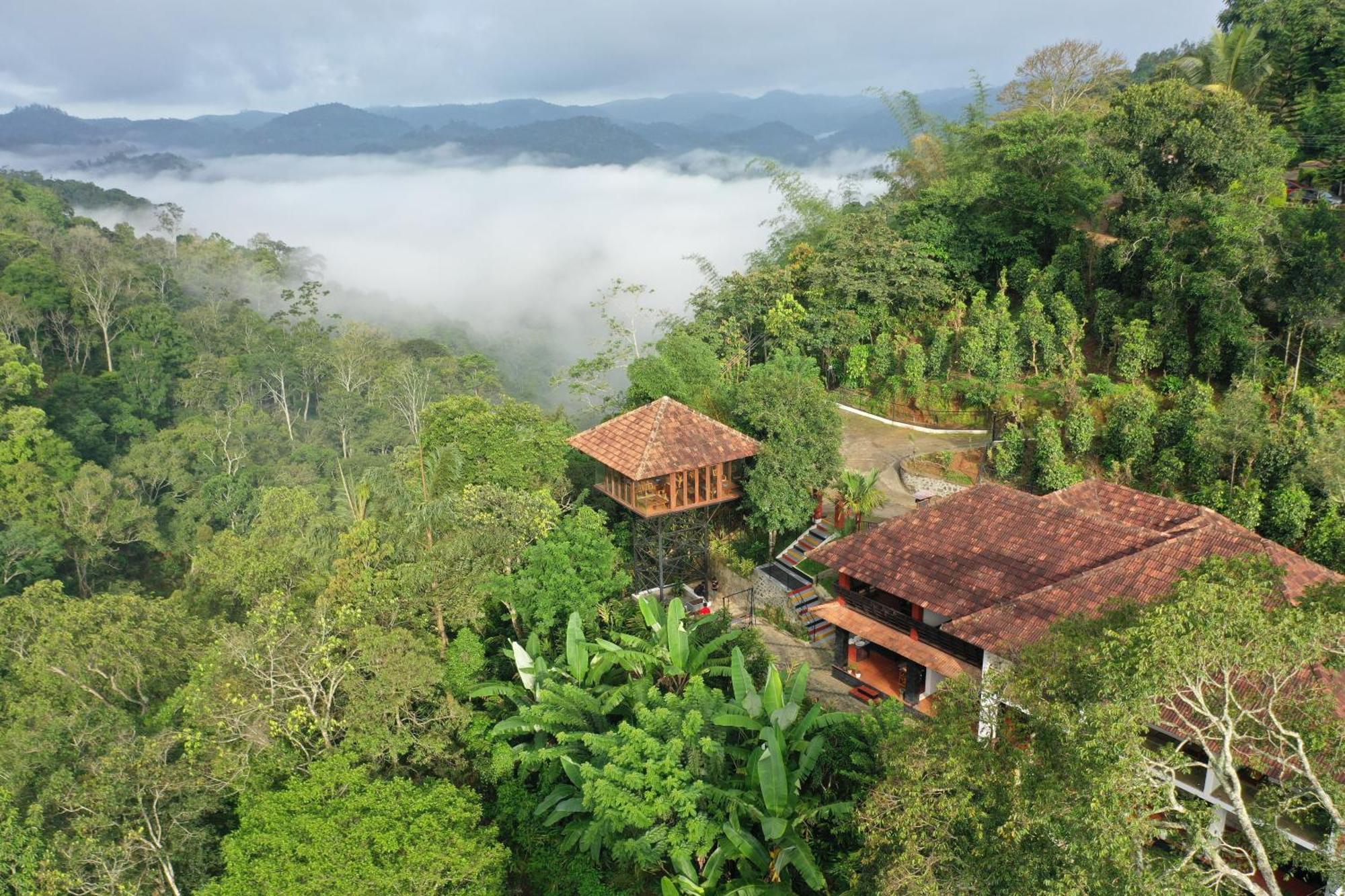 Spice Forest Plantation Homestay, Thekkady Vandiperiyār Eksteriør bilde