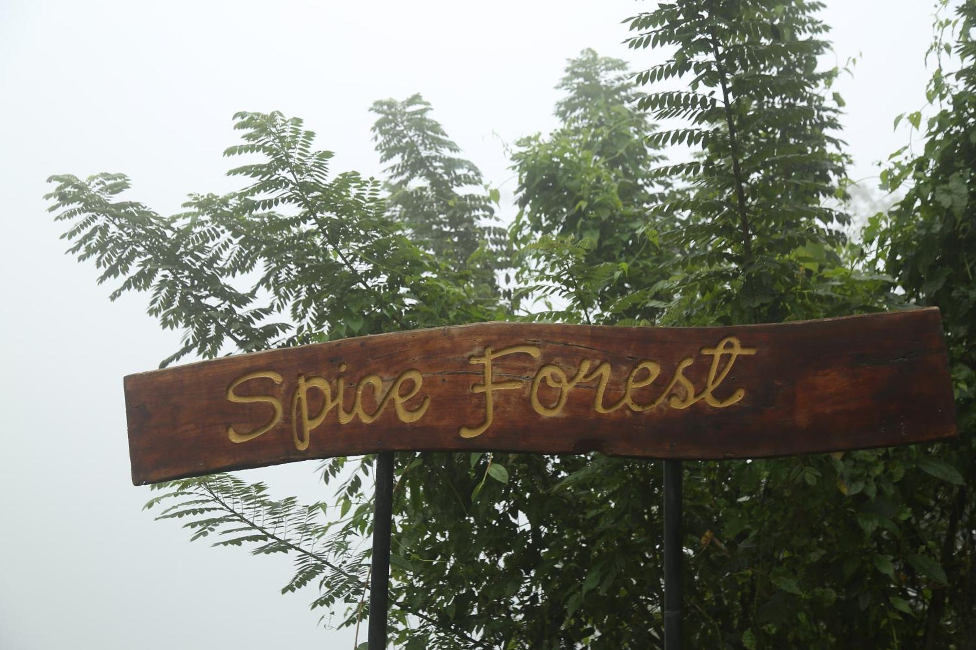 Spice Forest Plantation Homestay, Thekkady Vandiperiyār Eksteriør bilde