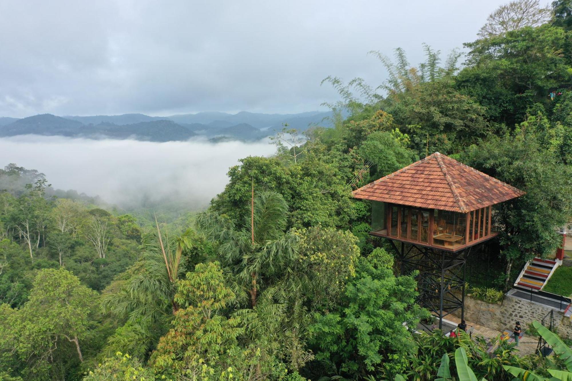 Spice Forest Plantation Homestay, Thekkady Vandiperiyār Eksteriør bilde