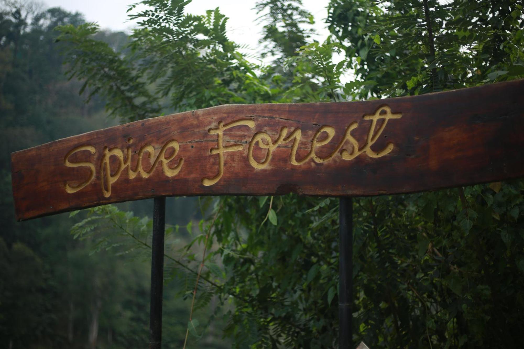 Spice Forest Plantation Homestay, Thekkady Vandiperiyār Eksteriør bilde